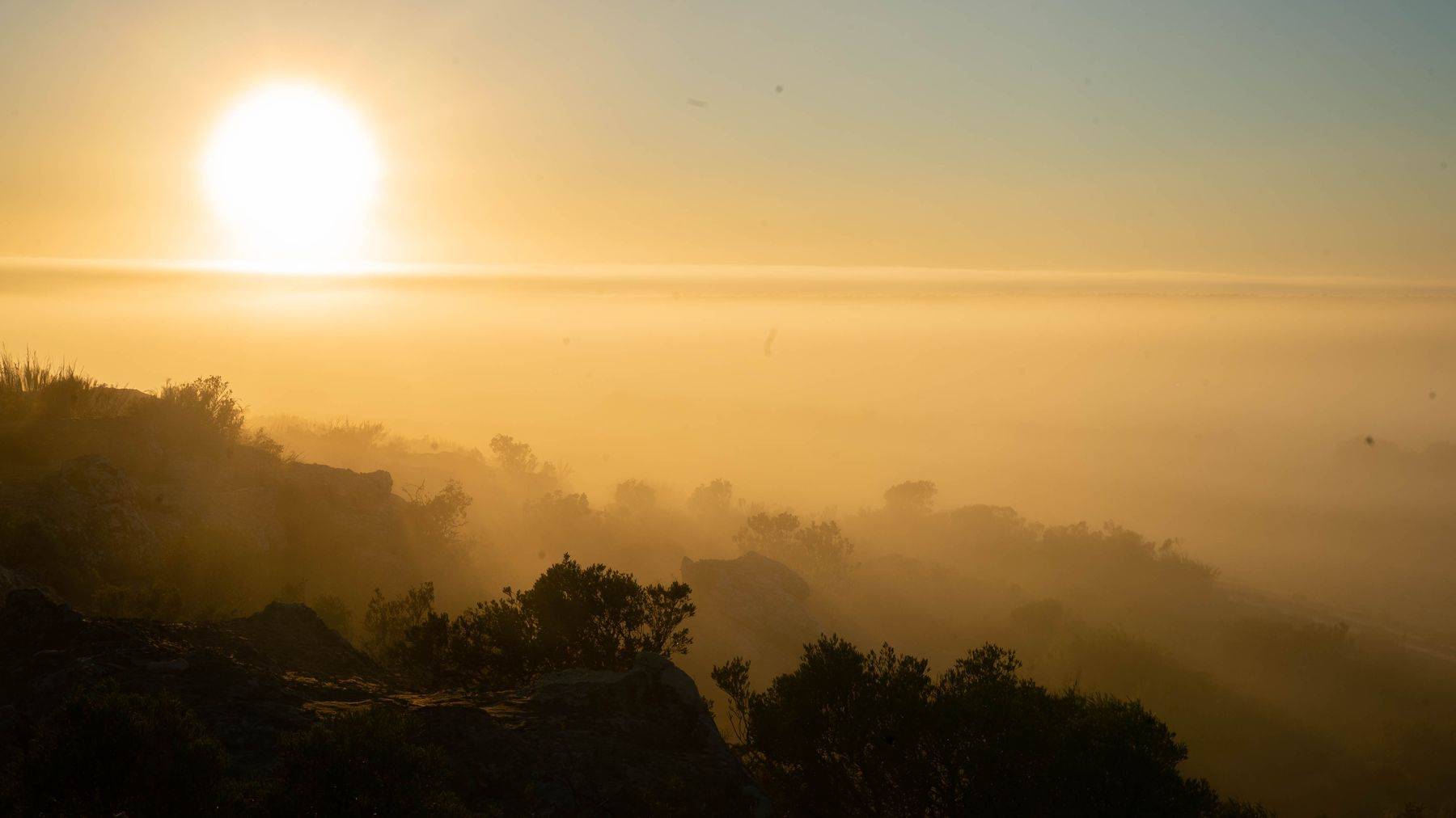Sun rising through mist over a valley with trees in silhouette