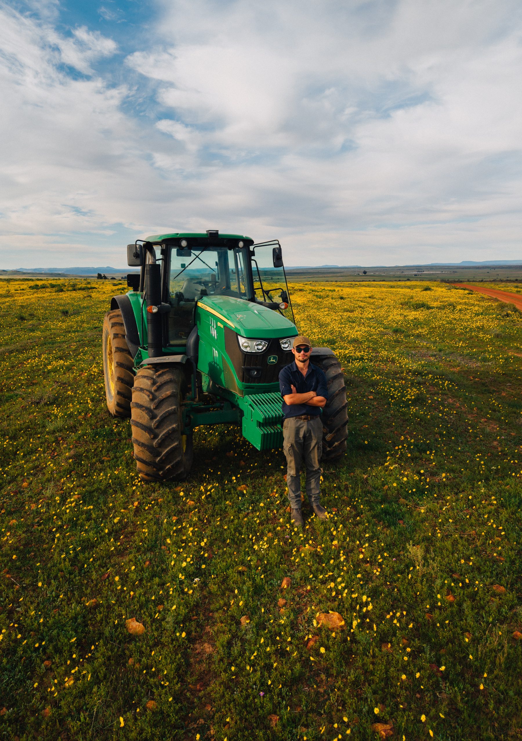 A green tractor working a field among flowering plants, seen from above